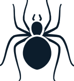 Örümcek İlaçlama | Bilen İlaçlama
